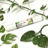 Bild 1/2 - filmolux libre organic buchschutzfolie